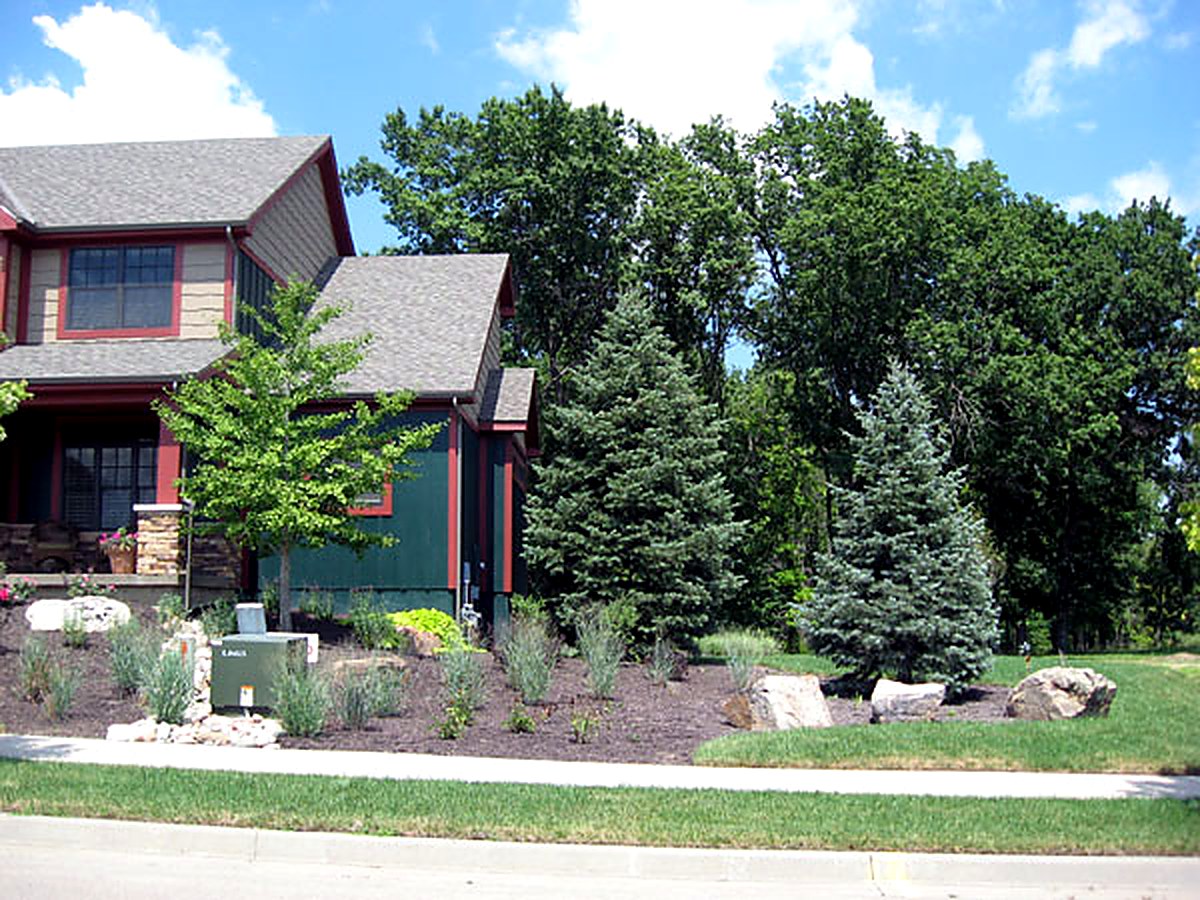 Finished front yard after a Tree Patch install